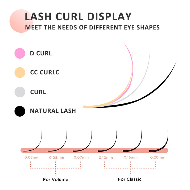 lash-curl-display